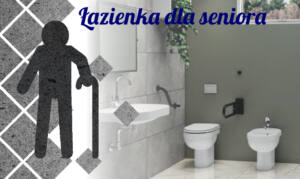 Read more about the article Łazienka dla seniora