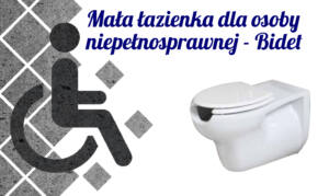 Mała łazienka dla osoby niepełnosprawnej – Bidet