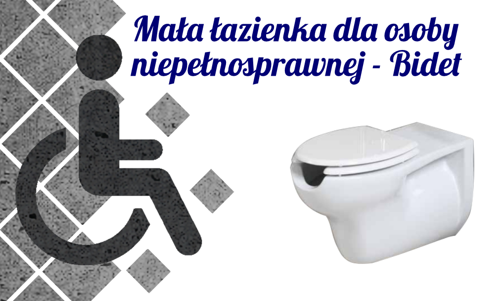 You are currently viewing Mała łazienka dla osoby niepełnosprawnej – Bidet