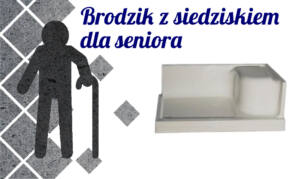 Read more about the article Brodzik z siedziskiem dla seniora