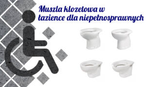 Read more about the article Muszla klozetowa w łazience dla niepełnosprawnych