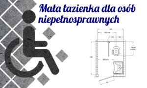 Wpływ rodzaju niepełnosprawności na aspekt wymiarowania łazienki